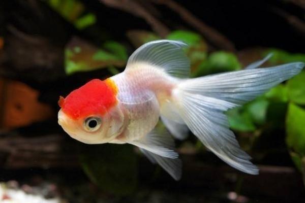 退保险怎样才能退得更多？退保险一般退多少？