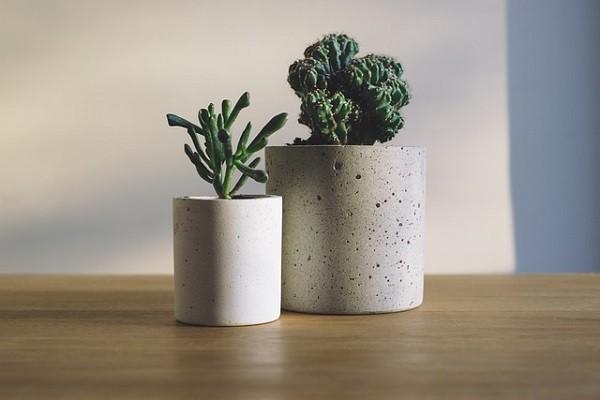 汽车保险计算器在线计算特点是什么？优点有哪些?