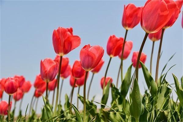 买了十年的保险退保时可以退多少？退保需要注意什么？
