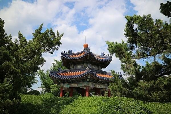 中国人寿康宁终身保险的优点有哪些？是什么险种？