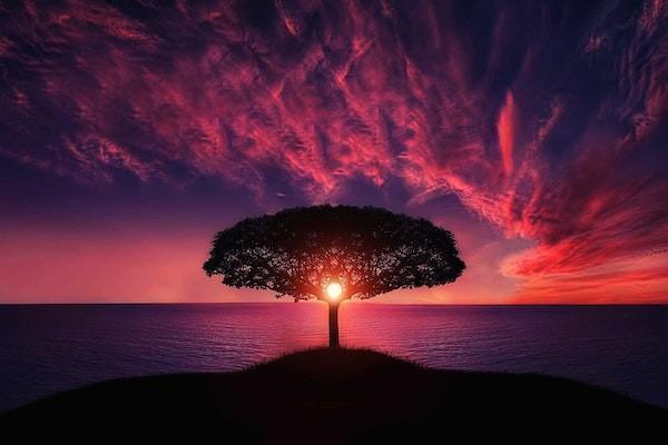 平安智慧星保险坑的原因是什么？平安智慧星保险坑死人是真的吗？