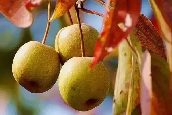 驾乘意外伤害保险范围包括哪些？需要多少钱？