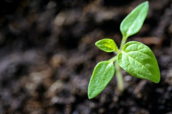 平安百万医疗投保年龄是多少？一年多少钱？