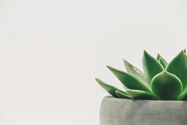 保险中的年金险是什么意思