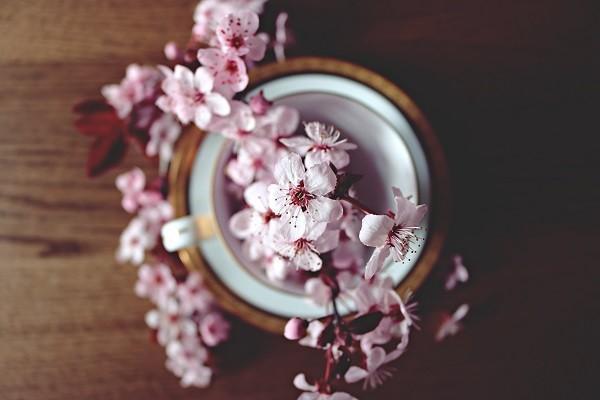 重疾险年费是多少？要怎么买才好呢？