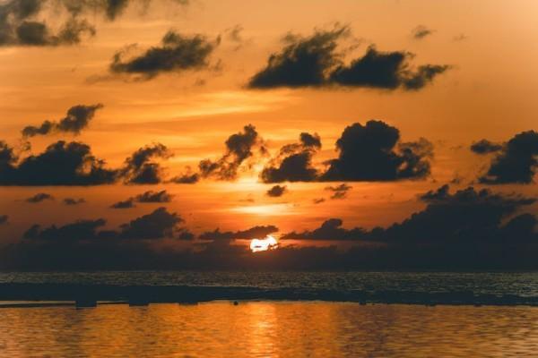 太平洋保险重大疾病