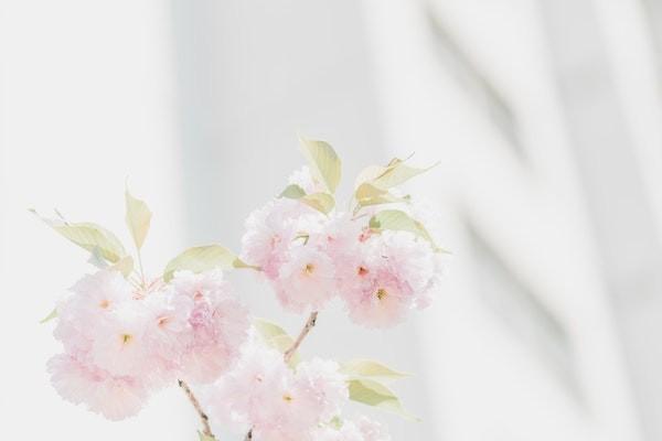 人寿200元意外险赔偿标准是什么，保什么