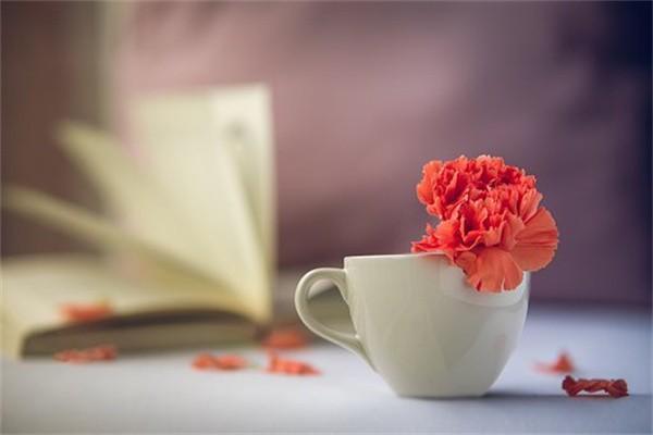 意外险赔付包括哪些范围，只赔付医药费吗