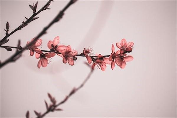 环卫工人意外保险赔偿材料是什么，标准是什么