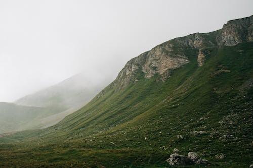 保险公司可以赔付哪些费用，自己全责保险公司赔吗