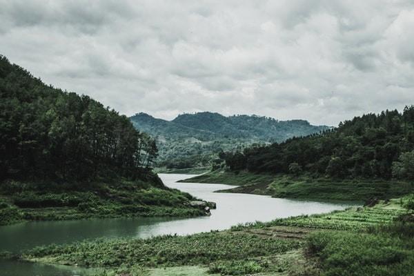 保险公司不赔偿