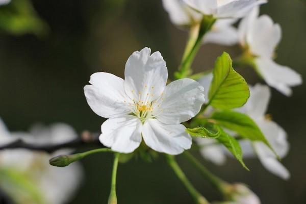 重疾险保额10万有必要买吗，合适吗