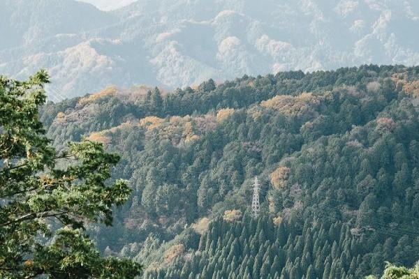 重疾保险可以减保吗，保什么