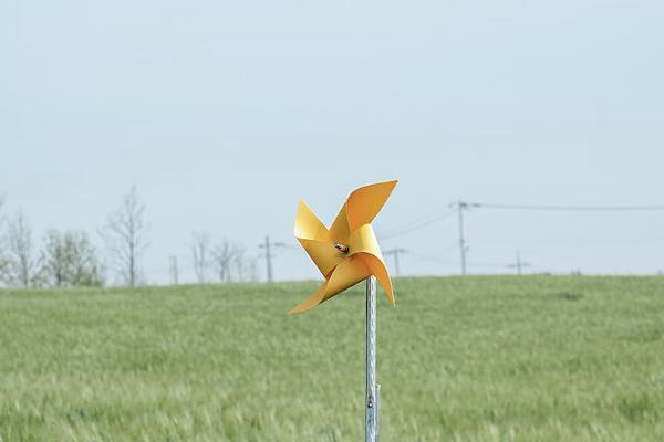 医疗事故保险怎么买，保什么