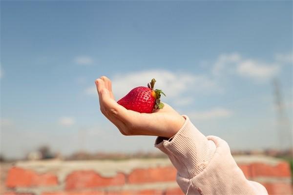太平洋保险退保几天到账