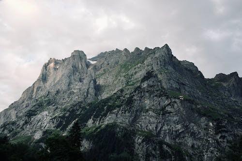 中泰齐富通靠谱吗，怎么样