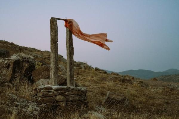 补充医疗保险的保费要多少钱，在哪查询