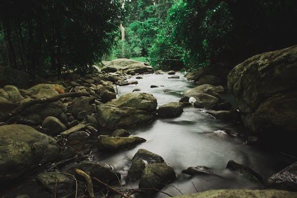 元保保险有必要买吗，怎么样
