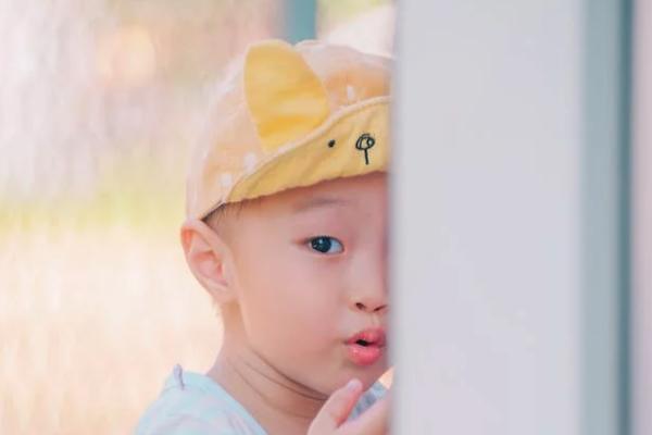 退保能退本金的多少