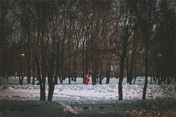 健康保险出险以后还能续保吗，理赔流程是什么