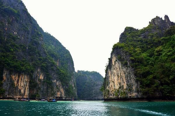 太平洋步步登高重大疾病附加险如何买，怎么样