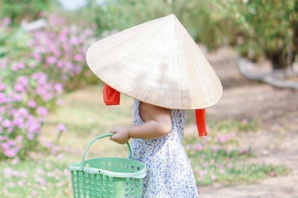 犹豫期退保怎么退，的两种情况是什么
