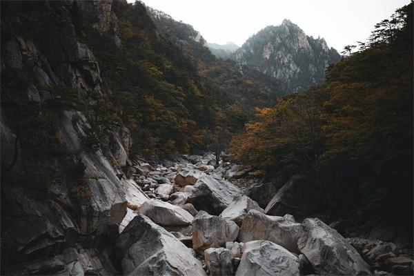 退保中扣钱了怎么办，会扣钱吗