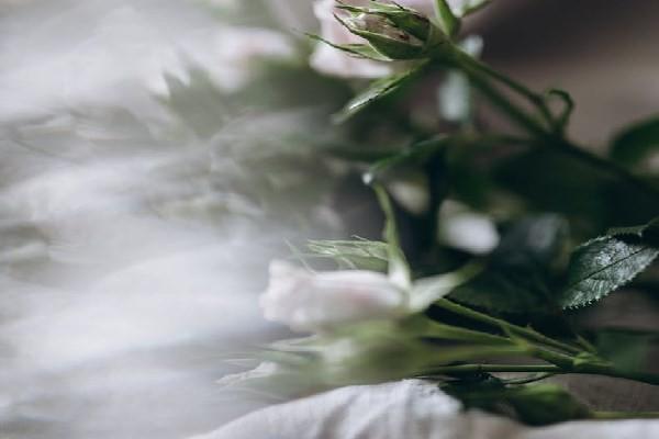 香港买保险需要什么证件材料，注意哪些细节