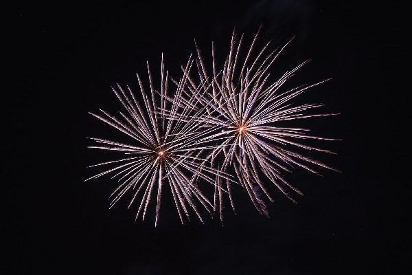 平安电销保险退保退多少钱，怎么查询