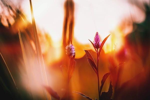 全额退保怎么退，能不能要求全额退保