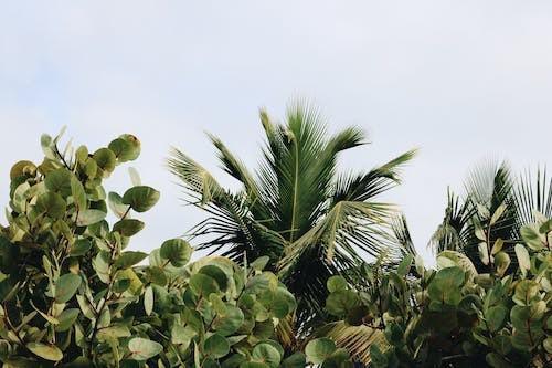 泰康全心全意a款两全保险保障什么，怎么样