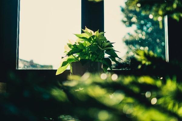 太平保险交了两年能退多少