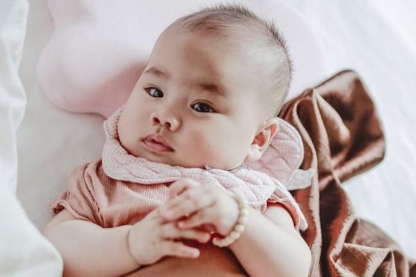 代办退保怎么退，需要办理哪些手续呢