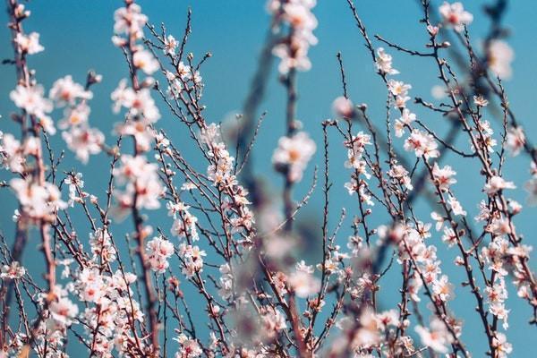 买了年金险退保需要哪些材料，领取年金后可以退保吗