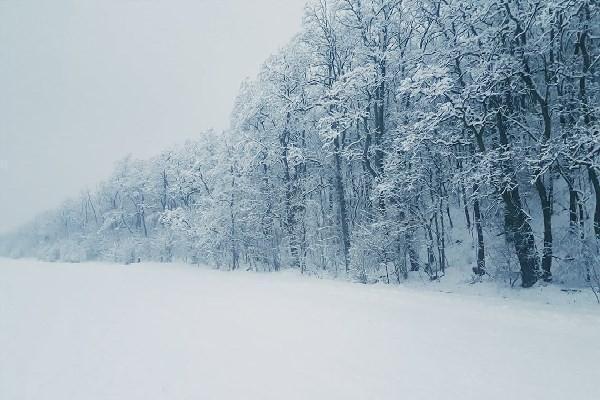 重疾险买一年是多少钱