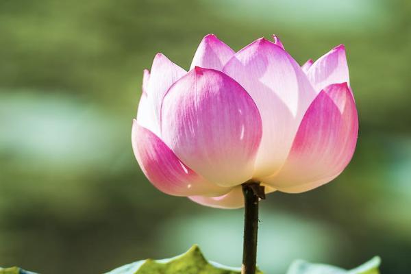 55岁买哪种商业保险好