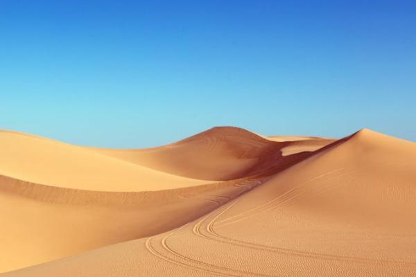 境外旅游意外险理赔流程是什么，哪家公司好