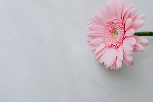 小孩买了重疾险想退保要准备什么材料呢，怎么办理