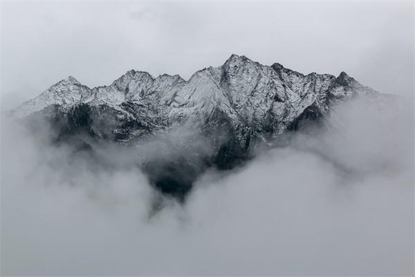 太平医无忧医疗保险怎么买，样