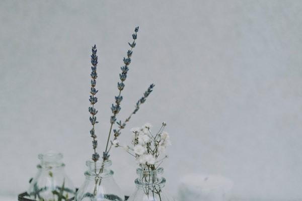 百万医疗重疾险多久生效呢，包括哪些疾病