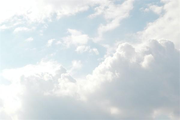 买重大疾病保险买哪些