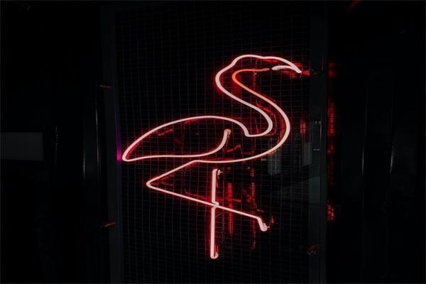入了保险后悔了可以退吗怎么退钱