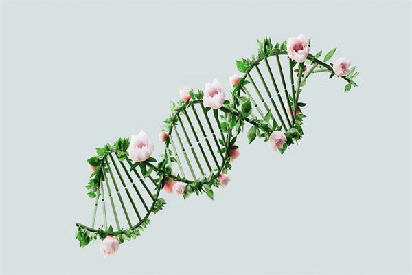 买重疾保险要怎么买呢，网上买重疾保险靠谱吗