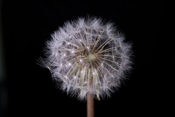 聚宝盆年金保险分红型退保怎么办理呢，交满能退吗