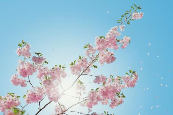 福满堂终身寿险收益怎么样，可靠吗