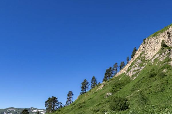 宝宝买重疾险有必要吗