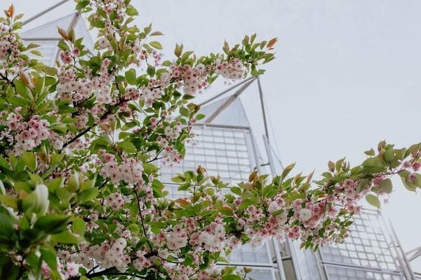 买保险中途退保需要哪些材料，了怎么退钱