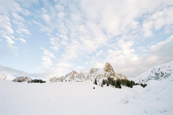 买了保险要多久才能退保 买了保险要多久才能退保