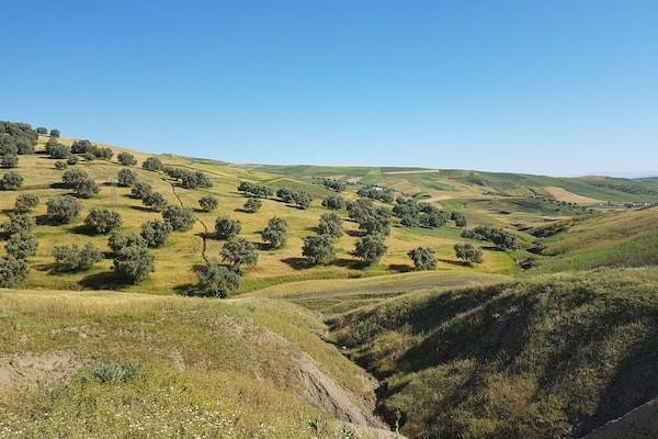 保险退保流程走多久 保险退保流程走多久