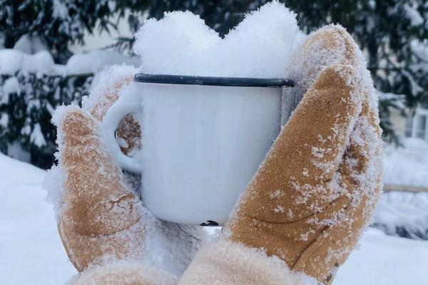 被保险人不到能退保险吗